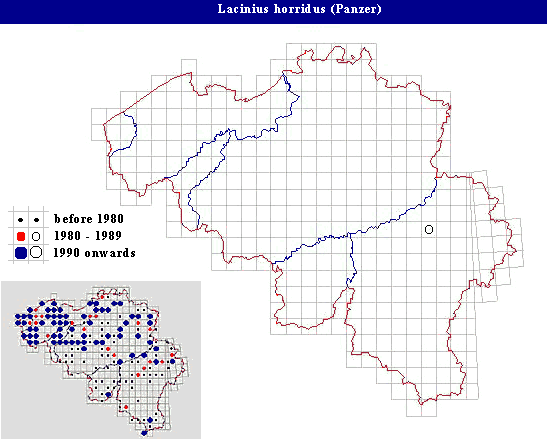 distribution of Lacinius horridus (Panzer) in Belgium
