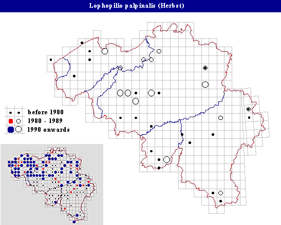 distribution of Lophopilio palpinalis (Herbst) in Belgium