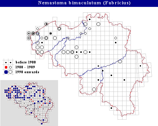 distribution of Nemastoma bimaculatum in Belgium