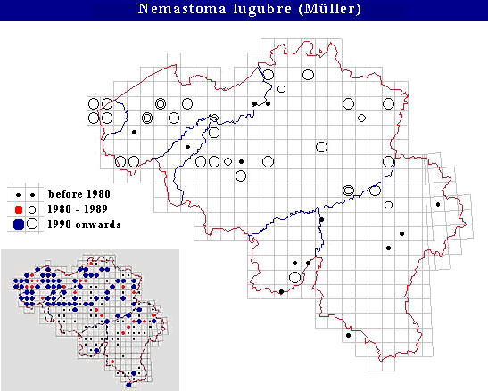 distribution of Nemastoma lugubre in Belgium