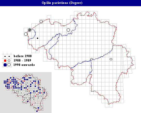 distribution of Opilio parietinus (Degeer) in Belgium