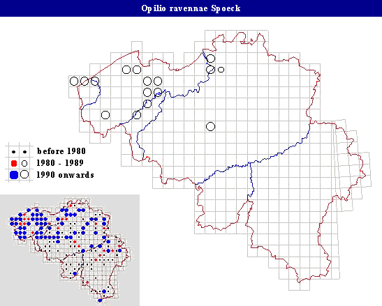distribution of Opilio canestrinii (Thorell) in Belgium
