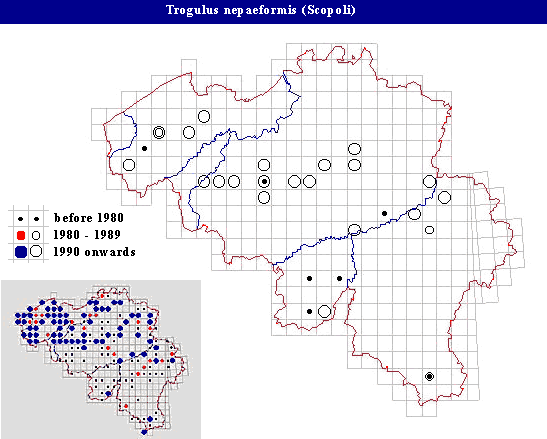 distribution of Trogulus nepaeformis (Scopoli) in Belgium