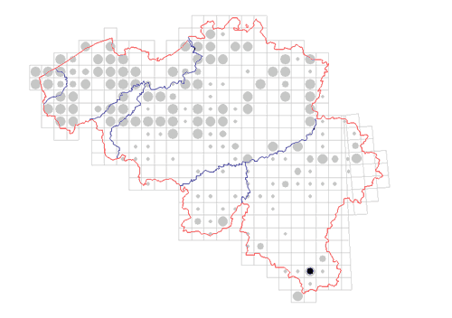 distribution of Amilenus aurantiacus in Belgium