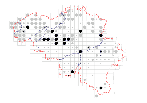 distribution of Anelasmocephalus cambridgei in Belgium