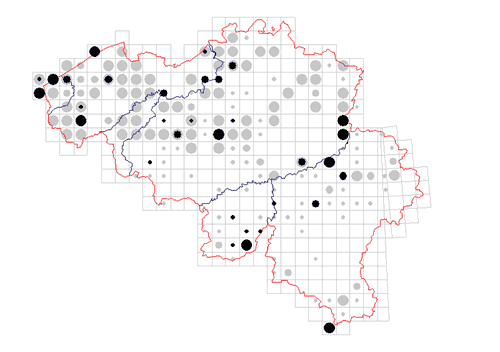 distribution of Homalenotus quadridentatus in Belgium