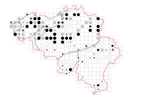 distribution of Lophopilio palpinalis in Belgium