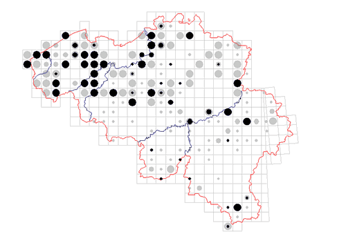 distribution of Leiobunum rotundum in Belgium