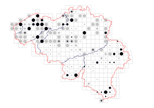 distribution of Mitopus morio in Belgium