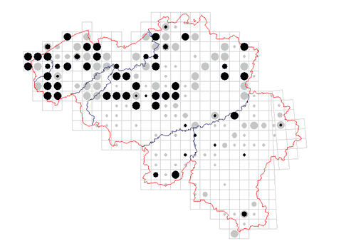 distribution of Nemastoma bimaculatum in Belgium