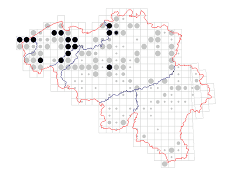 distribution of Opilio canestrinii in Belgium