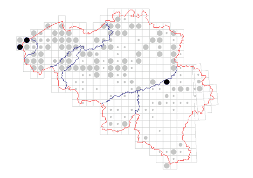 distribution of Odiellus spinosus in Belgium