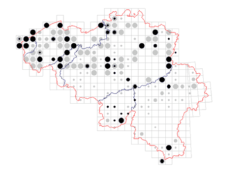 distribution of Phalangium opilio in Belgium