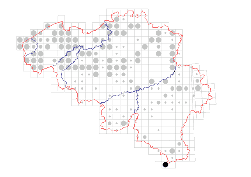 distribution of Platybunus pinetorum in Belgium