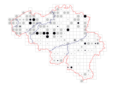 distribution of Paranemastoma quadripunctatum in Belgium