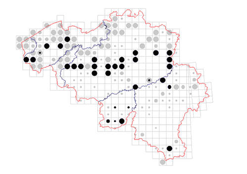 distribution of Trogulus nepaeformis in Belgium